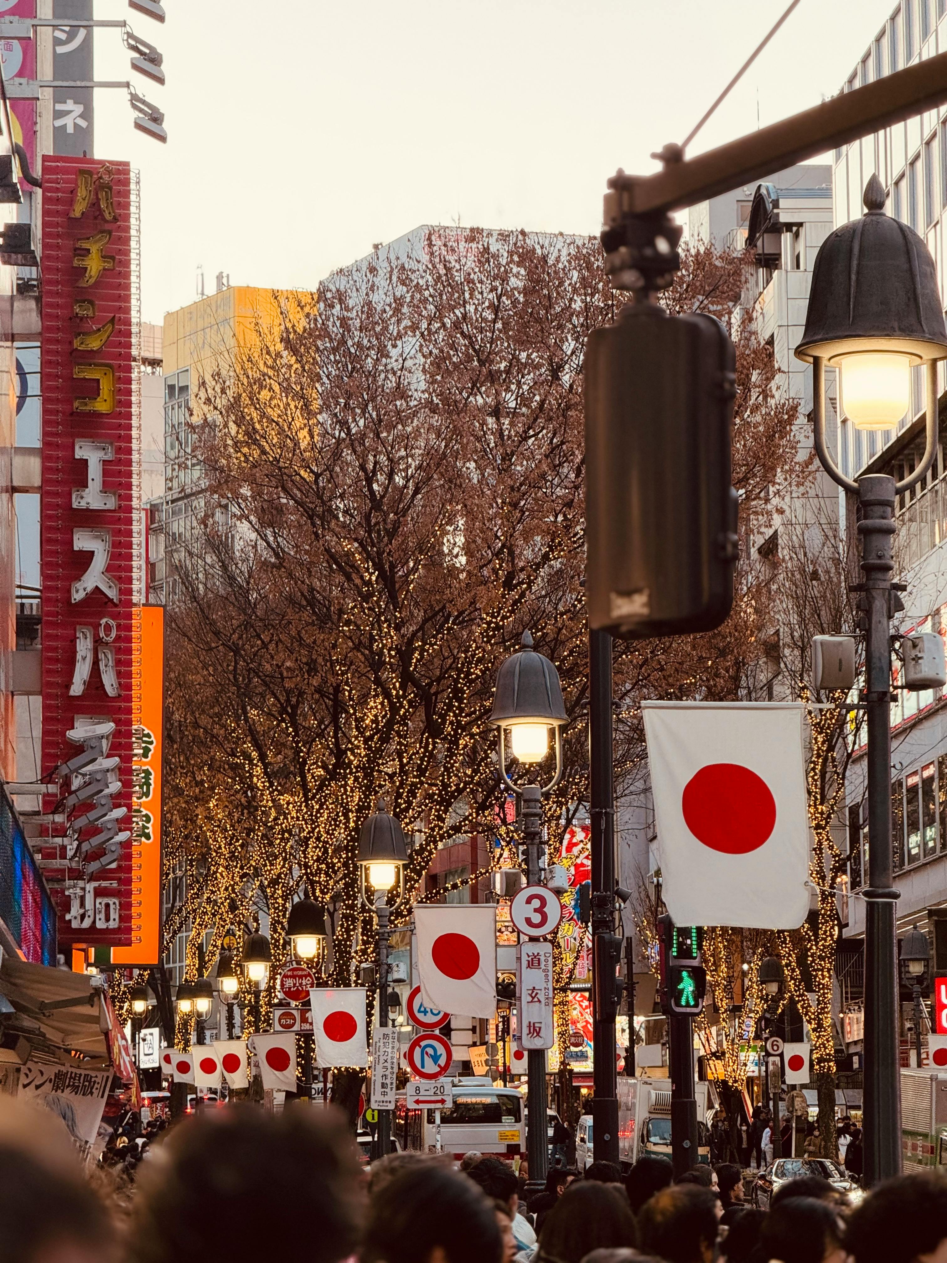 Japan Visa